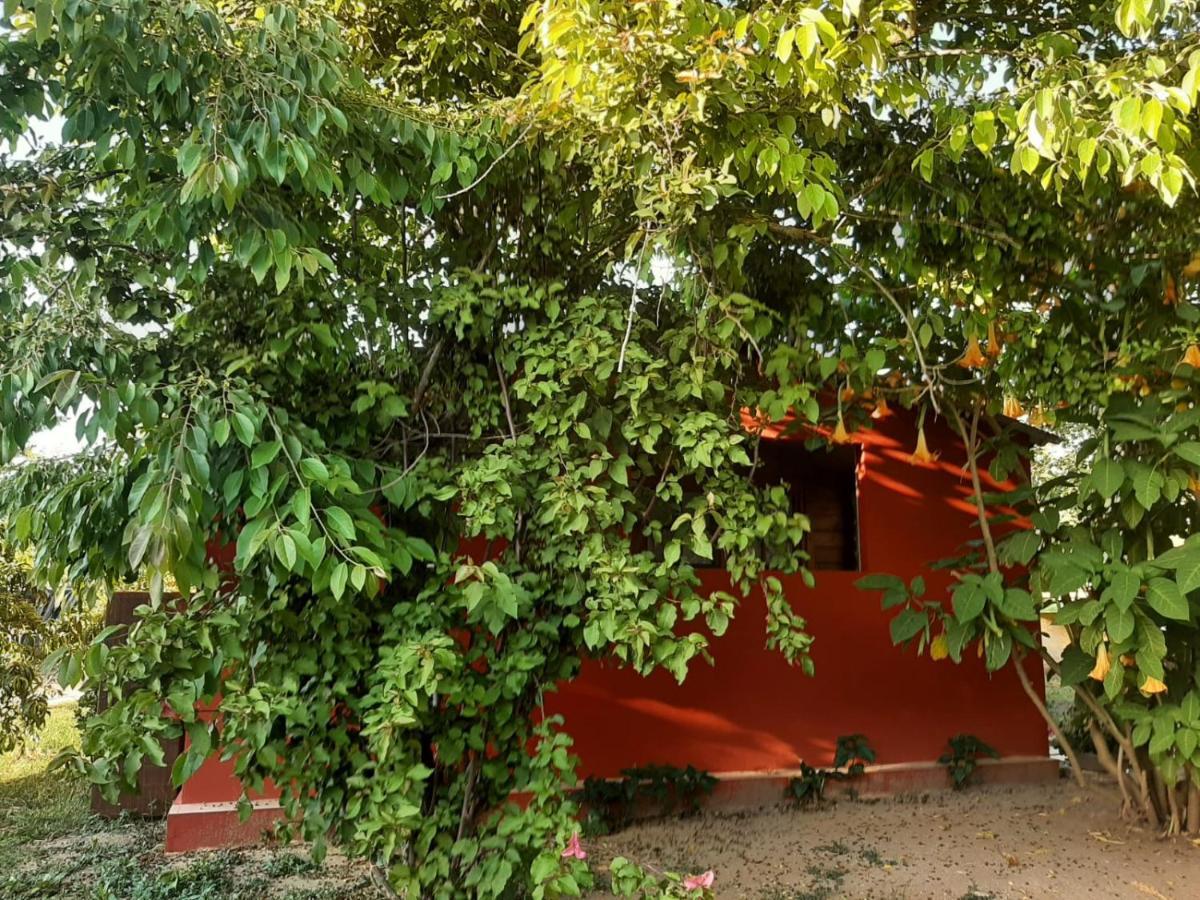 Casa Di Campagna Dal Pozzo ซอร์โซ ภายนอก รูปภาพ