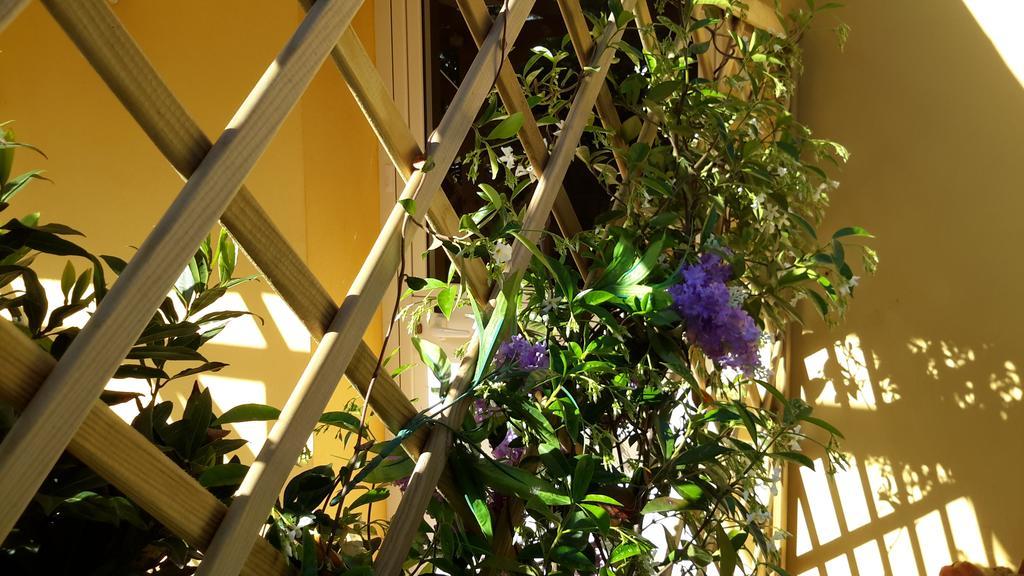 Casa Di Campagna Dal Pozzo ซอร์โซ ห้อง รูปภาพ