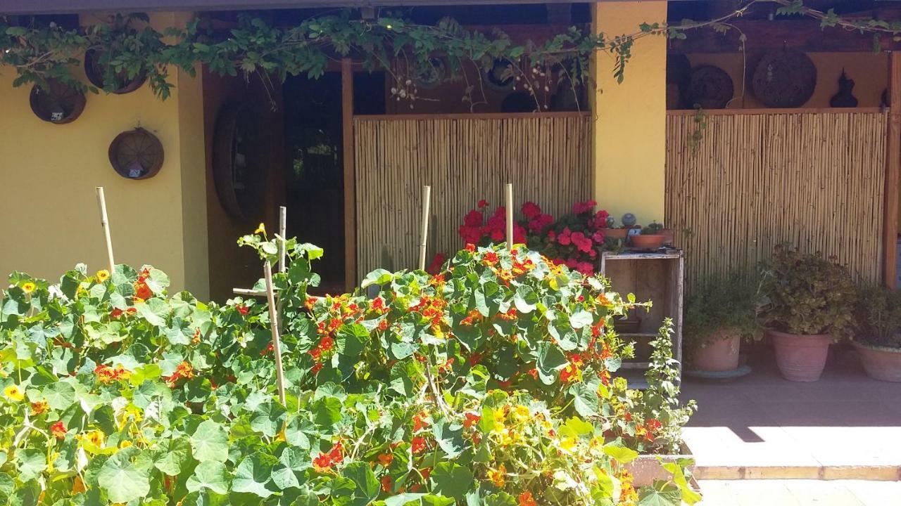 Casa Di Campagna Dal Pozzo ซอร์โซ ภายนอก รูปภาพ